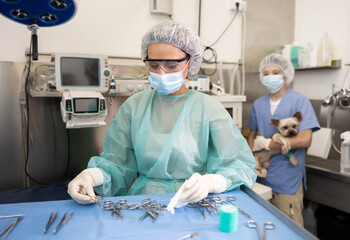 Woman veterinarian in full protective gear arranges instrument on table desktop, prepares to receive and treat patients, animals and pets