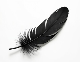 Single black feather isolated on clean white background. Delicate plume displays soft texture, elegant lines. Minimalist monochrome illustration symbolizing freedom, spirit, and mystery.