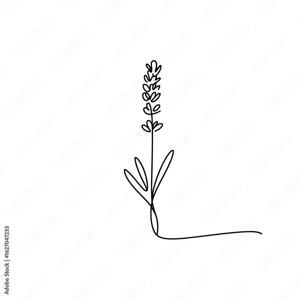Poster elegant lavender stem in simple line art a minimalist botanical design with a delicate touch of natu