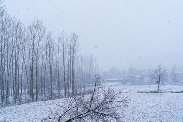 A timeless glimpse into rural life in a mountainous region.

