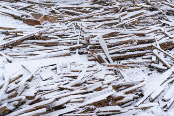 Bare Trees in a Snowy Field