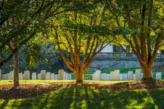 Morning Light Filtering Through Trees in the National Cemetery