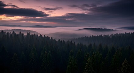 Obraz premium Aerial View Misty Forest Landscape Twilight Sky