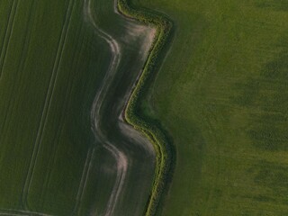 Aerial view of agricultural field with curving path.