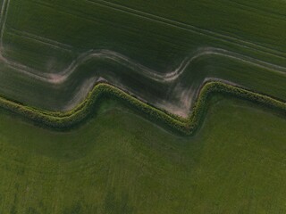 Aerial view of wavy green fields with distinct paths.