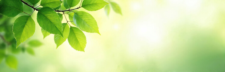 Fototapeta na wymiar Bright green watercolor leaves arranged on branch create fresh, modern eco-friendly design. Natural light illuminates vibrant foliage, suggesting growth, vitality. Image evokes feelings of nature,