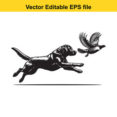 Fototapeta premium Vector art of black labrador dog running after a bird isolated on white background long horn, , long horn