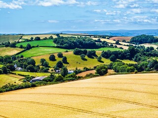Fototapety na wymiar - Fototapeta24.pl