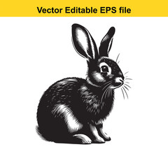 Obraz premium Vector art of black rabbit illustration isolated on white background long horn, , long horn