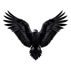 Obraz premium Majestic Black Eagle Spreading Wings in Flight Against a Transparent background