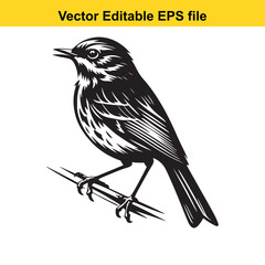 Fototapeta premium Vector art of black and white illustration of a small bird perched on a branch, isolated on white background long horn, , long horn