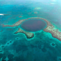 coral reef with fish