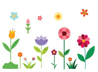 vector illustration of tulips