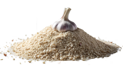 Garlic and Garlic Powder: A close-up view showcases a bulb of garlic perched atop a pile of garlic powder, emphasizing the versatility and culinary uses of this flavorful ingredient.