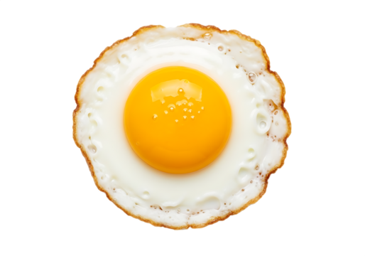 Sunny side up egg with bright yellow yolk and white albumen isolated on a transparent background fried