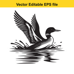 Obraz premium Vector art of duck with wings spread in water, isolated on white background long horn, , long horn