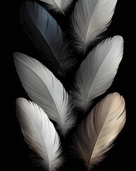 Obraz premium Close-up of various soft feathers in shades of white, gray, black, and light brown arranged on a black background evoking calm and delicate natural beauty