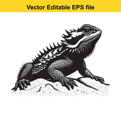 Obraz premium Vector art of bearded dragon lizard isolated on white background long horn, , long horn