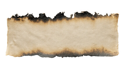 a burnt piece of paper with a white background