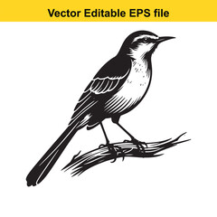 Obraz premium Vector art of bird perched on a branch isolated on white background long horn, , long horn