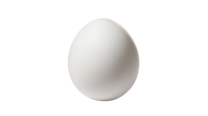 a white egg is shown on a white background