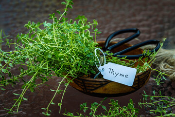 freshly cut green thyme in a bowl on a glassy table  ready to be dry up for the seasoning, close up