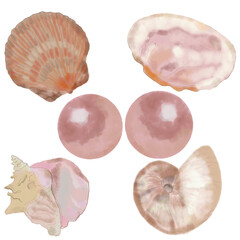 A hand-drawn digital watercolor artwork featuring seashells, mollusks, and hard sea creature remains. Beautifully crafted with attention to natural beauty and marine-inspired design elements perfect