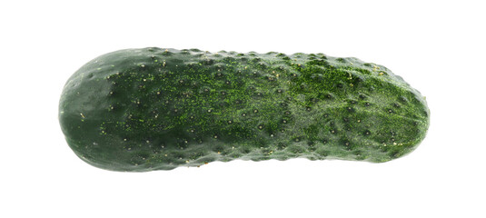 One fresh green cucumber isolated on white