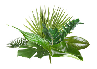 Green tropical leaves isolated on white. Composition of lush foliage