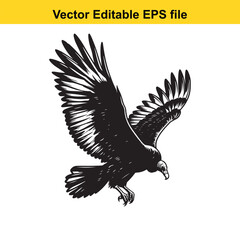 Fototapeta premium Vector art of vulture bird in flight, isolated on white background long horn, , long horn