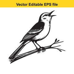 Obraz premium Vector art of bird perched on a branch, isolated on white background