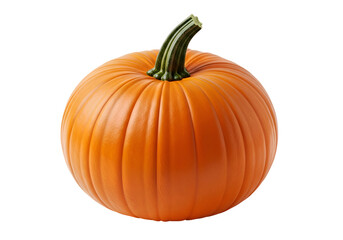 Close-up of an orange pumpkin.