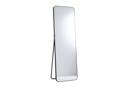 Full-length mirror with a dark frame.