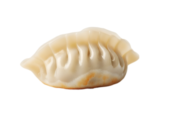 Single steamed dumpling against a black background.