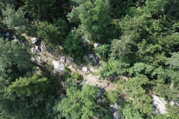 Obraz premium Aerial view of a forest path winding through dense trees and rocks on a sunny day in the wilderness