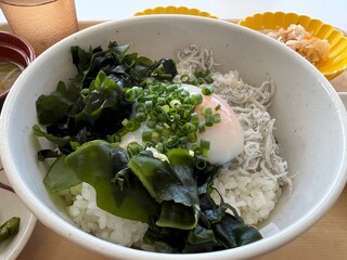わかめを載せた釜揚げしらす丼の定食