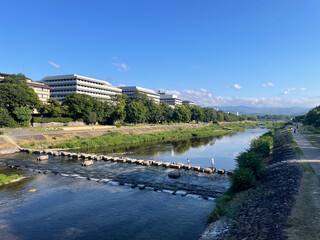夏の朝の鴨川の飛び石