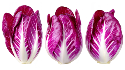 Closeup of three red and white letons mushrooms in a natural setting three