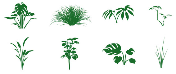 Green grass and palm vector set, vector illustrations of various grasses and palm plants in green tones, minimal style on a transparent background, perfect for natural and tropical themes