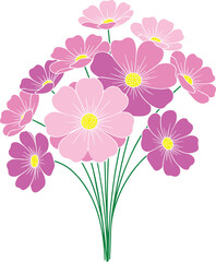 Vector Drawing of Pink Cosmos Flower with Green Stem &ndash; Hand Drawn Colored Illustration