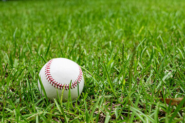 Ball in the grass