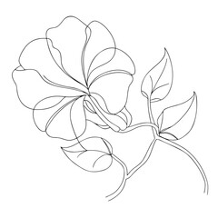 Outline of a blooming flower with leaves isolated on transparent background isolated on white background