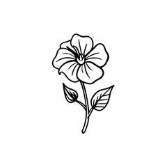 White hibiscus flower silhouette isolated on black background isolated on white background isolated on transparent background