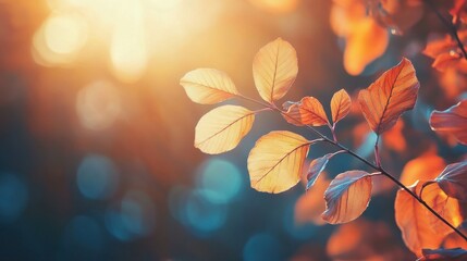 Autumn Leaves in Golden Sunlight.