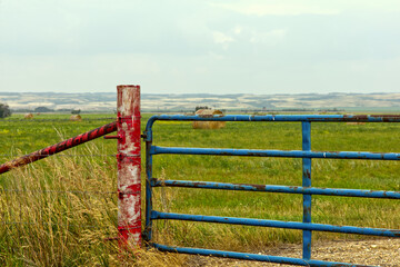 Blue gate