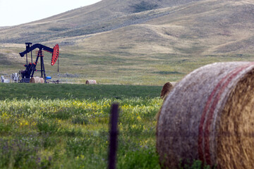 Pump jack in hay field