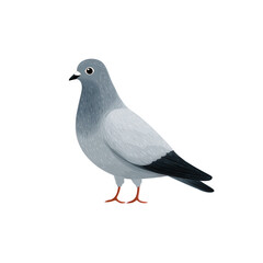 Naklejka premium Pigeon Illustration: A meticulously crafted illustration captures the essence of a quintessential pigeon. Rendered with detail, it presents a clean, appealing aesthetic.
