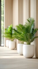 Fototapeta premium Indoor Plants in Modern Minimalist Interior