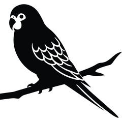 Black silhouette of a parrot perched on a branch bird white