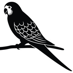 Black silhouette of a parrot perched on a branch with white details bird black and white